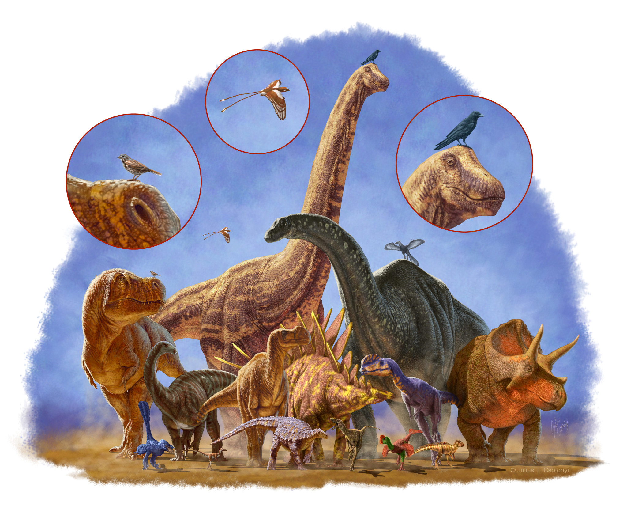 Потомки динозавров