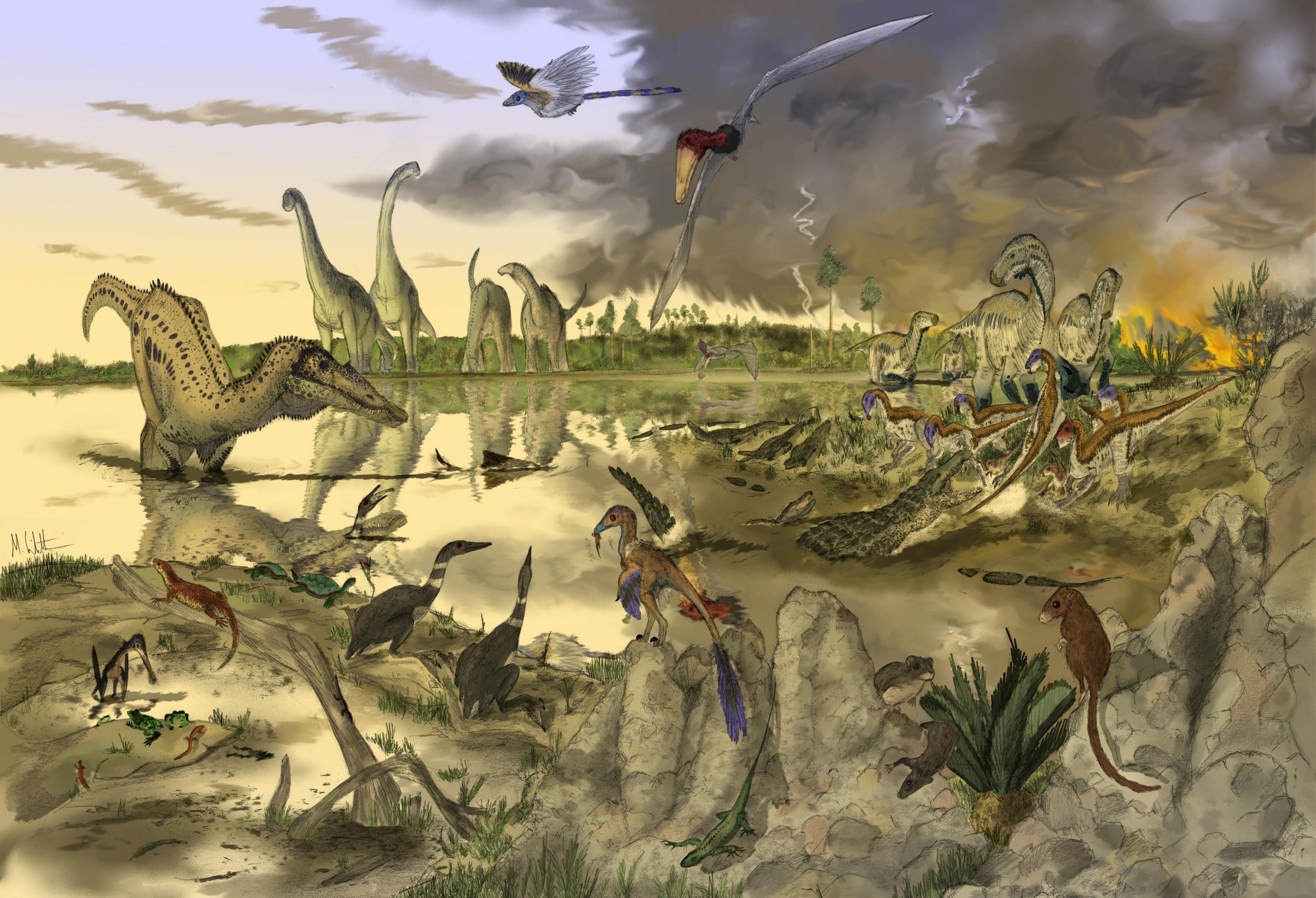 Меловой период палеонтологич