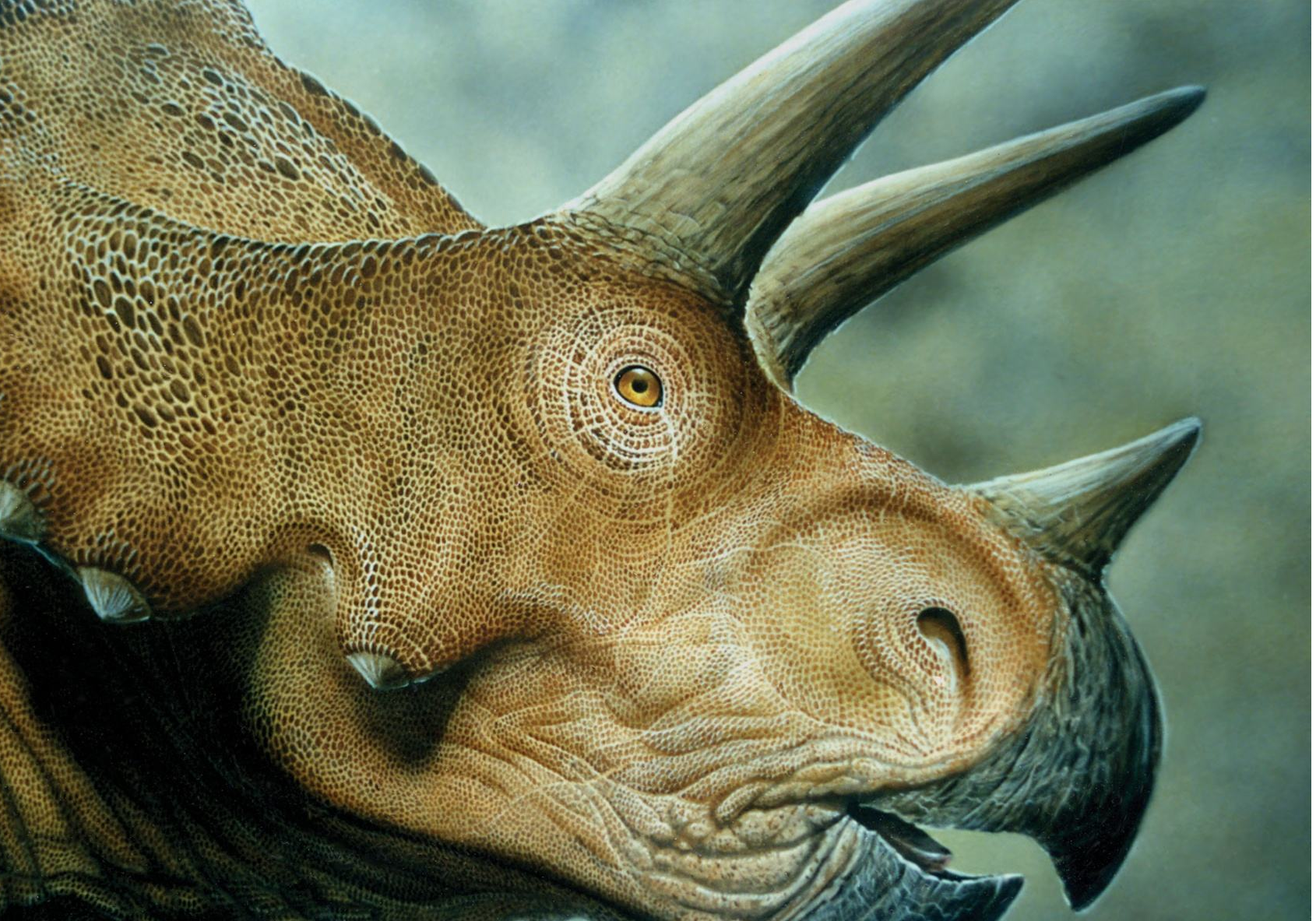 Элементы перьев на динозаврах