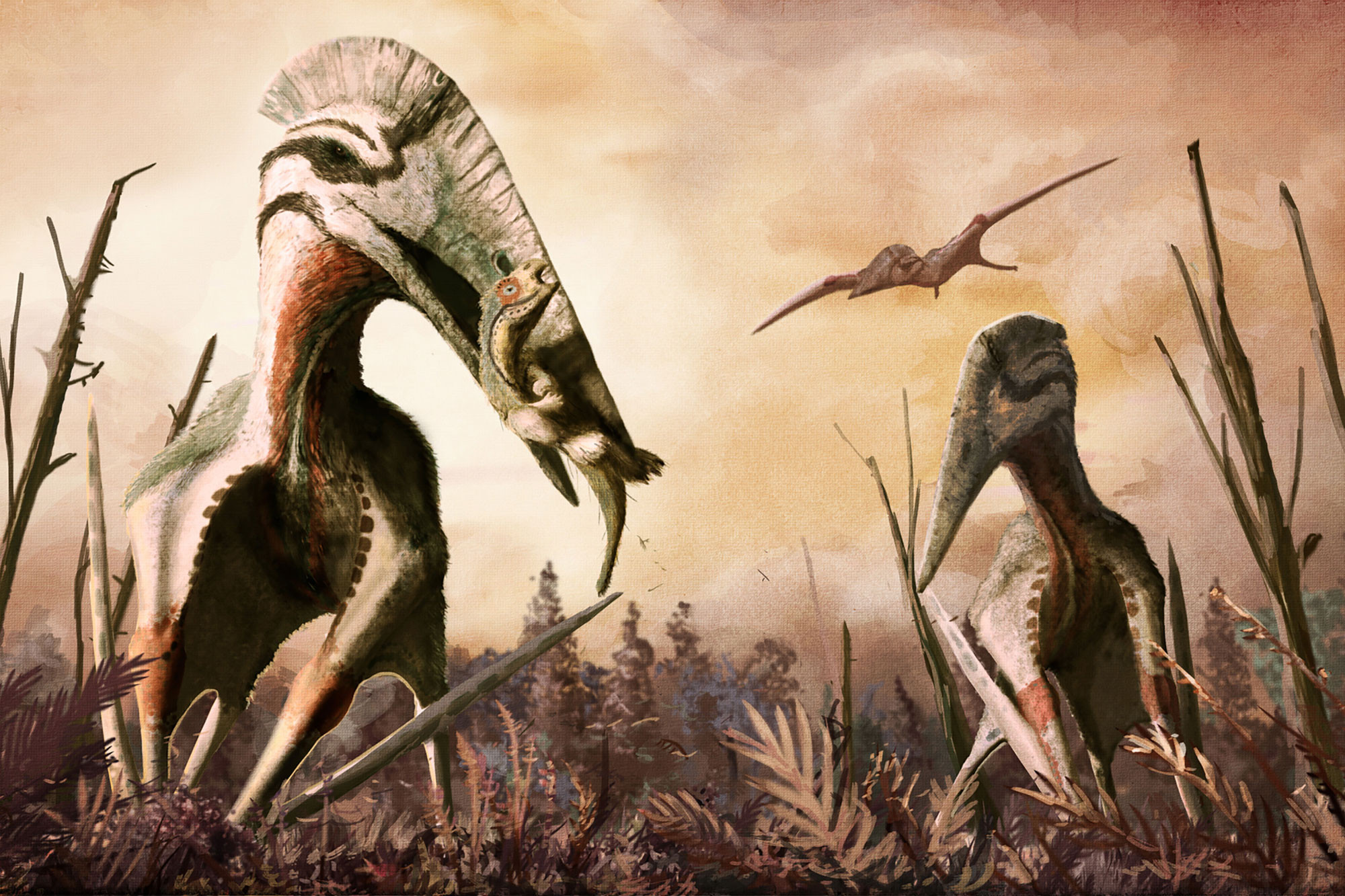 Динозавры это ящеры. Хацегоптерикс Планета динозавров. Гатцегоптерикс Птерозавр. Кетцалькоатль динозавр. Арамбургиана Птерозавр.