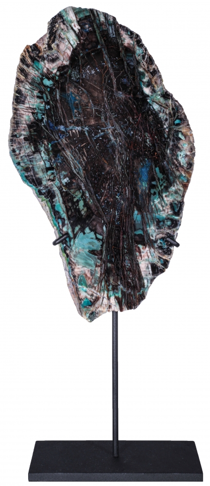 Окаменелое дерево Colla Wood