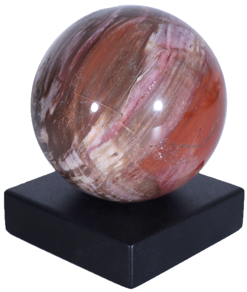 Шар из окаменелого дерева