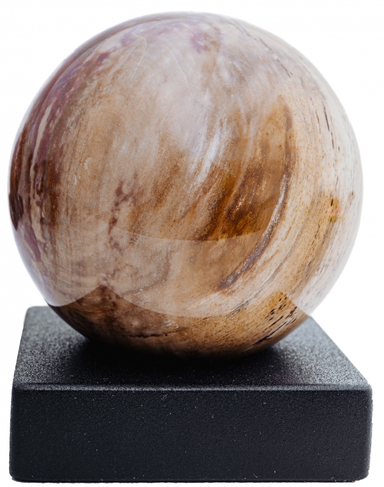 Шар из окаменелого дерева