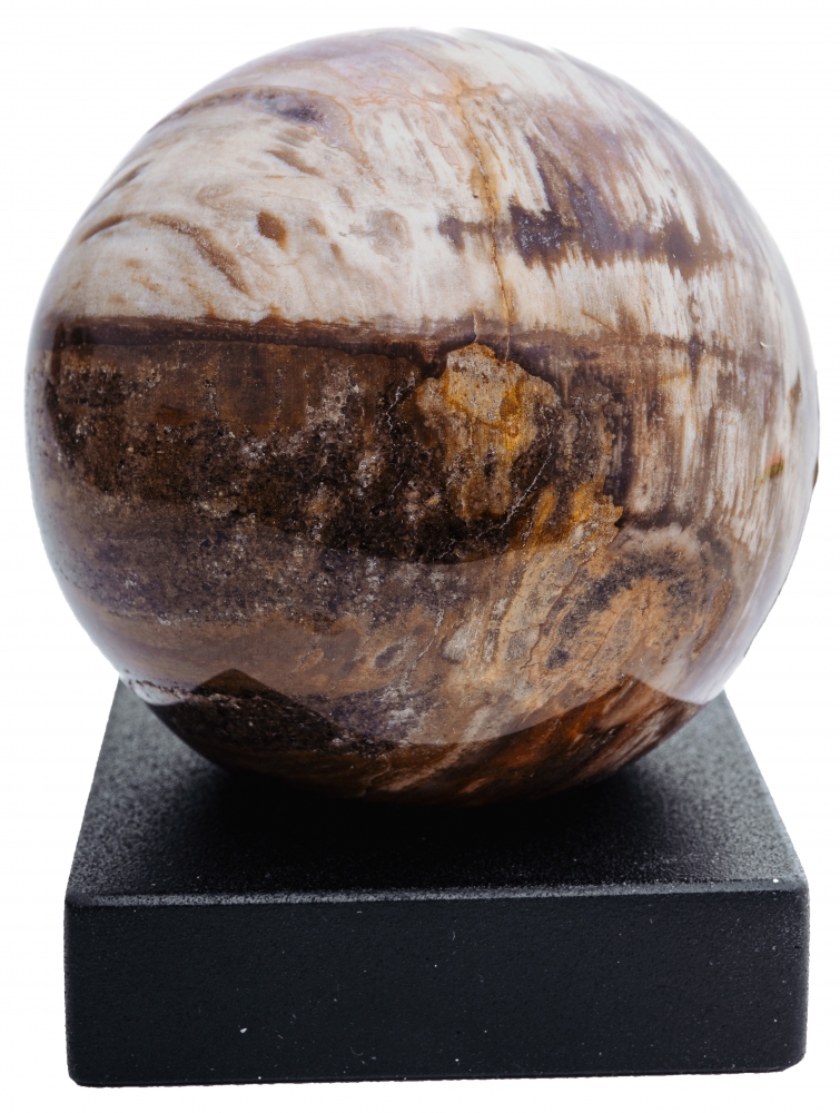 Шар из окаменелого дерева