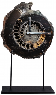 Часы из аммонита Speetoniceras versicolor