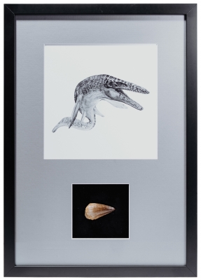 Панно с зубом мозазавра