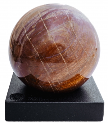 Шар из окаменелого дерева