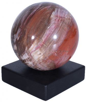 Шар из окаменелого дерева