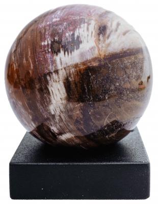 Шар из окаменелого дерева