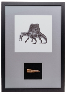 Панно с зубом спинозавра