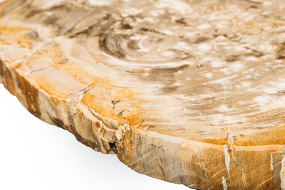 Журнальный столик из окаменелого дерева