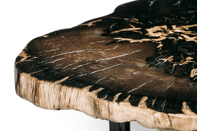 Журнальный столик из окаменелого дерева