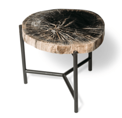Кофейный столик из окаменелого дерева