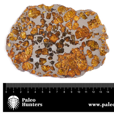 Метеорит Imilac 163 гр на подставке