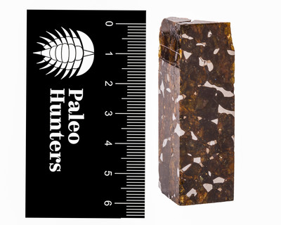 Метеорит Сеймчан (палласит) 58,11 гр