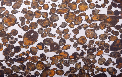 Метеорит Sericho (палласит) 191 гр на подставке