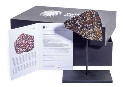 Метеорит Sericho (палласит) 70,17 гр на подставке