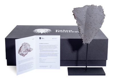 Метеорит Дронино 263 гр на подставке