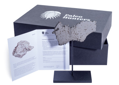 Метеорит Дронино 114,13 гр на подставке