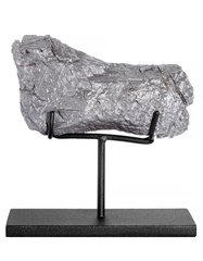 Метеорит  Muonionalusta