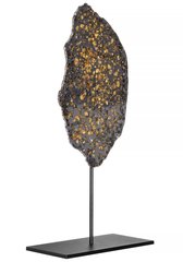 Метеорит Брагин (палласит) 176,4 г