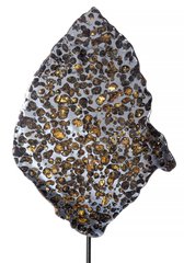 Метеорит Брагин (палласит) 227,6 г