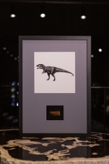Панно с зубом динозавра Carcharodontosaurus saharicus