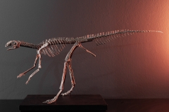 Скелет динозавра Jeholosaurus shangyuanensis