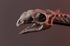 Скелет динозавра Jeholosaurus shangyuanensis