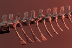 Скелет динозавра Jeholosaurus shangyuanensis