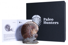 Аммонит Hoploscaphites nebrascensis