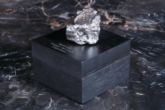 Метеорит Campo del Cielo 274 г
