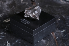 Метеорит Сихотэ-Алинь 62,2 г