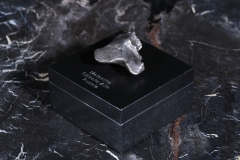 Метеорит Сихотэ-Алинь 35,5 г