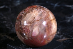 Шар из окаменелого дерева