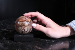 Шар из окаменелого дерева