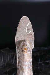 Аммонит Cleoniceras sp.