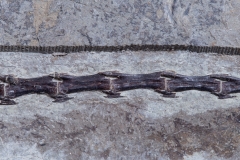 Скелет динозавра Anchiornis huxleyi