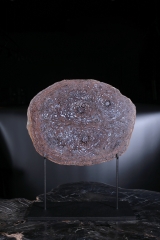 Папоротник Osmunda sp.