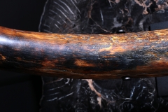 Бивень мамонта 