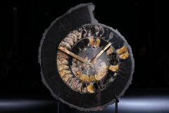 Часы из аммонита Speetoniceras versicolor 