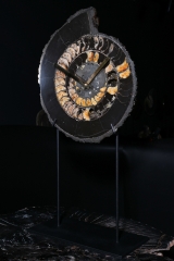 Часы из аммонита Speetoniceras versicolor 