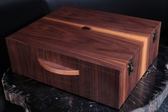 Аммонит Craspedodiscus discofalcatus 