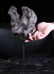 Метеорит Campo del Cielo 7,9 кг