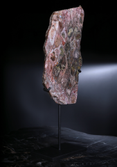 Окаменелый саговник 