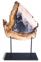 Окаменелая секвойя