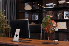 Аммолитовый аммонит Placenticeras costatum