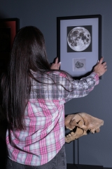 Лунный метеорит Ajdabyia 001 8,4 г