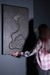 Морская лилия ( криноидея)