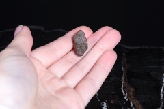 Лунный метеорит NWA 13974 2,3 г